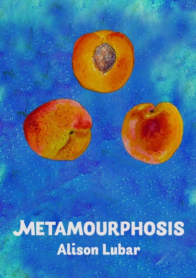 METAMOURPHOSIS