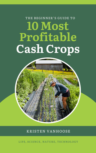 The Beginner's Guide to 10 Most Profitable Cash Crops