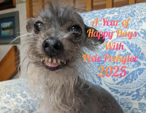 A Year of Happy Days with Pixie Peekytoe 2025