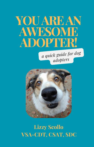 You Are an Awesome Adopter!