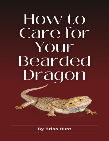 How to Care for Your Bearded Dragon