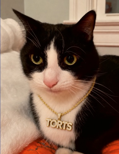 Torts