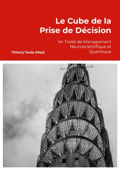 Le Cube de la Prise de Décision