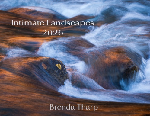 Intimate Landscapes 2026