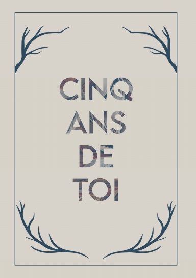Cinq ans de toi