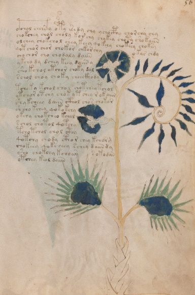 Notebook - 3: Voynich Series