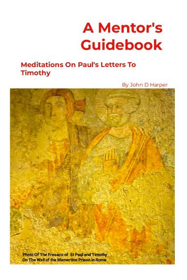 A Mentor’s Guidebook