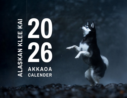 AKKAOA 2026 Calendar