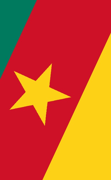 World Notebook: Cameroon