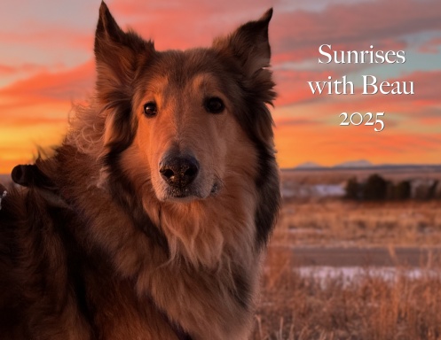 Sunrises with Beau 2025