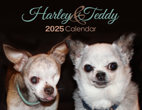 Harley & Teddy Calendar 2025