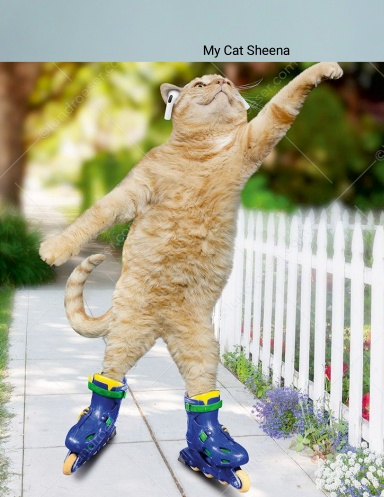 Min kat Sheena