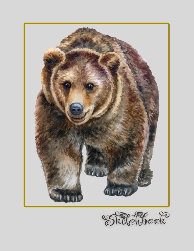 Bear Sketchbook