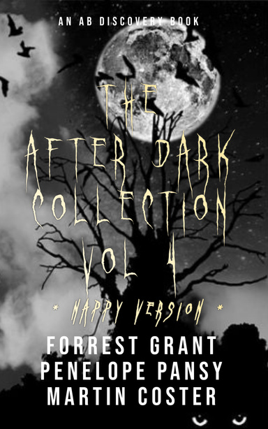 The After Dark Collection Vol 4 (nappy version)