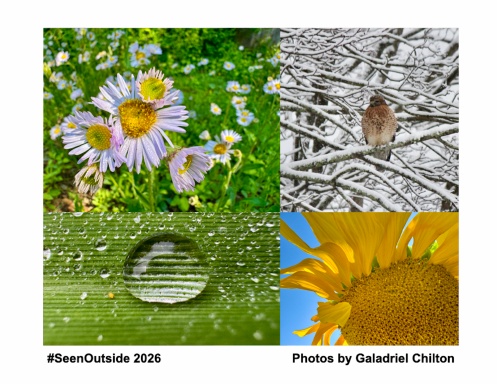 #SeenWhileRunning 2025