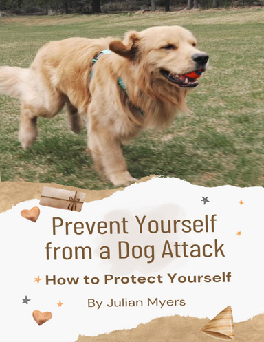 Prevent Yourself from a Dog Attack