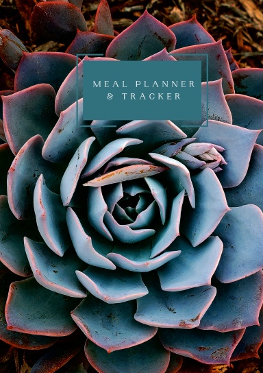 A002: 13 -Week Meal Planner and Tracker