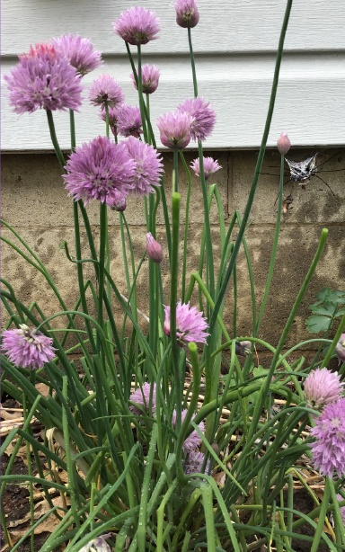 sort515 Love Ain’t Time’s Bitch (paperback, 2021)