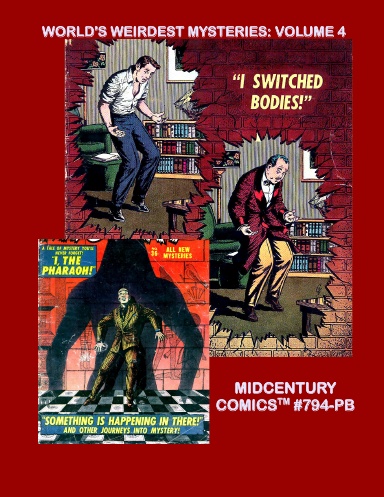 World's Weirdest Mysteries: Volume 4 (PB)