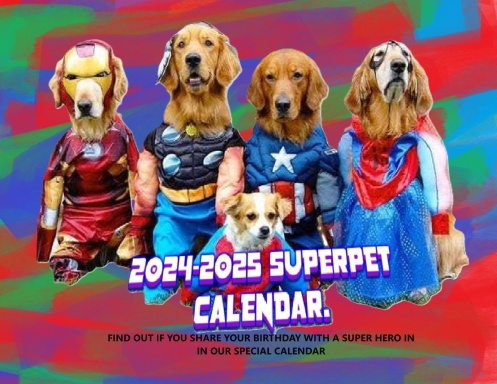 Pet Hereos
