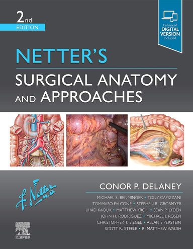 Netter's Surgical Anatomy and Approaches 2nd Edition