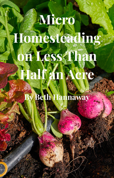 Micro Homesteading on Less Than Half an Acre