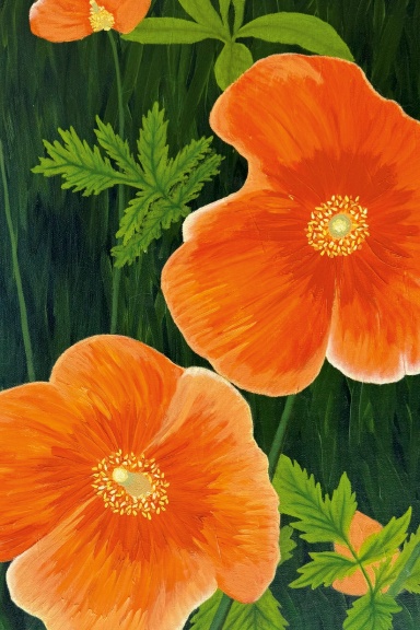 Journal - Orange Poppies