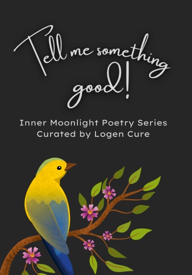 Inner Moonlight Poetry Series "Tell me something good!" hardback blank A5 notebook