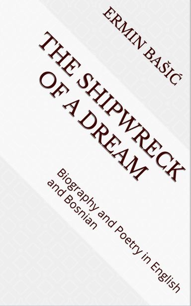 THE SHIPWRECK OF A DREAM