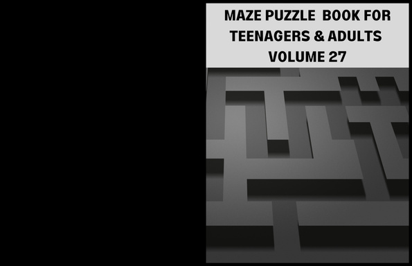 MAZE PUZZLE BOOK FOR TEENAGERS AND ADULTS  VOLUME 27