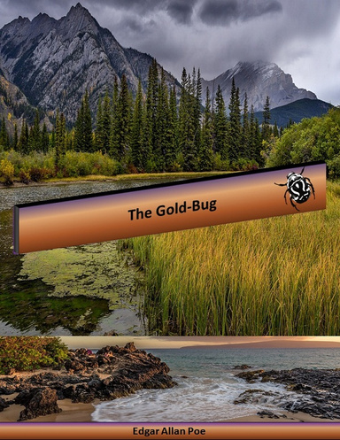 The Gold-Bug