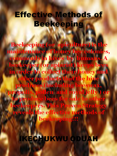 Effective Methods of Beekeeping