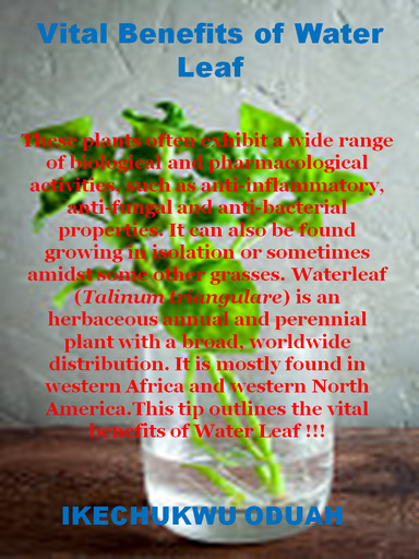 Vital Benefits and Uses of Water Leaf