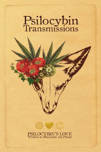 Psilocybin Transmissions