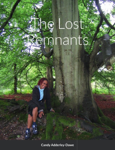 The Lost Remnants