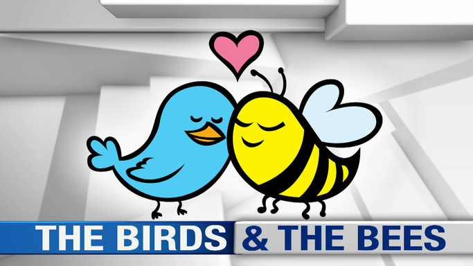 The Birds and the Bees