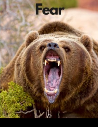 Fear