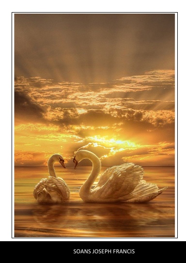 Pearls from the Ocean of Meditation Booklet-4