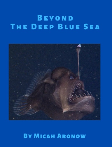 Beyond the Deep Blue Sea