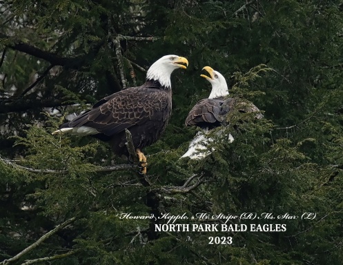 North Park Bald Eagles 2023 - lined calendar, standard print