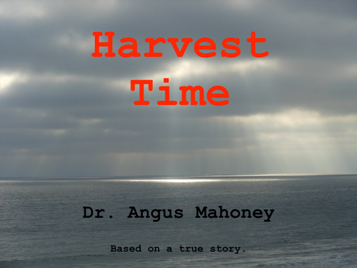 Harvest Time