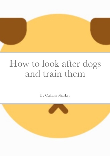 How to look after dogs and train them