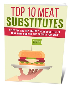 Top 10 Meat Substitutes