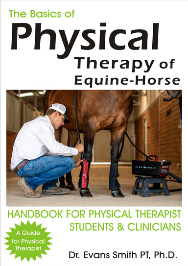 The Basics of Physical Therapy of Equine-Horse