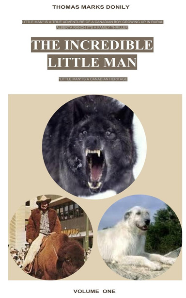 The Incredible Little Man