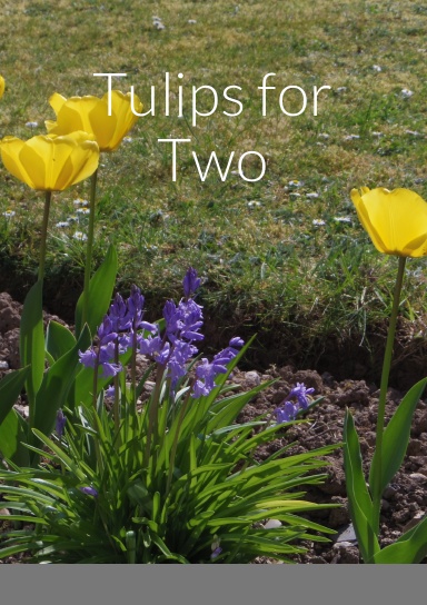 Tulips for Two