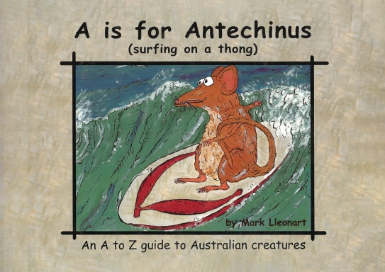 A is for Antechinus