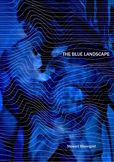 The Blue Landscape