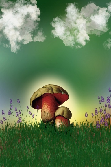 Mushroom Light
