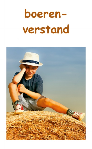 boeren-verstand